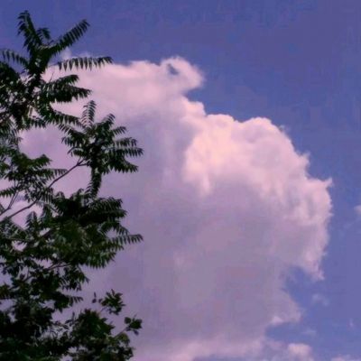 烈火霸业私服无限元宝版sf下载